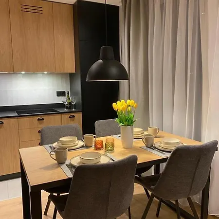 Rest4u Z Saunami Apartament *